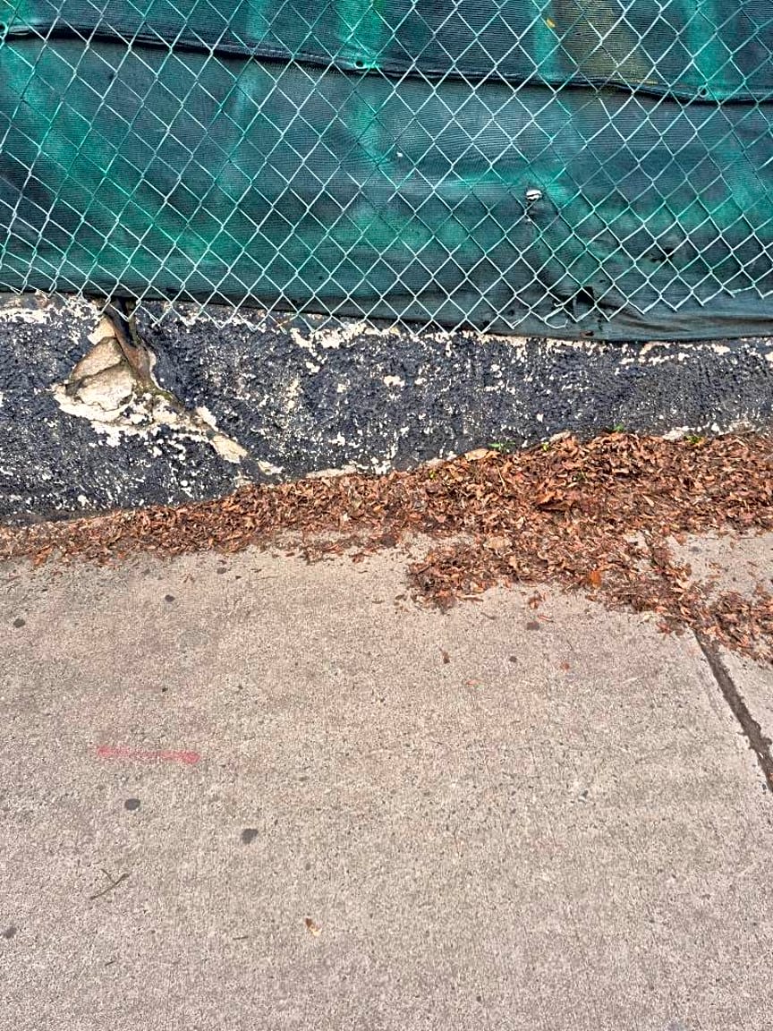 Image submitted with report