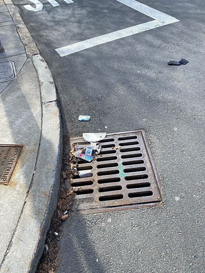 Image submitted with report