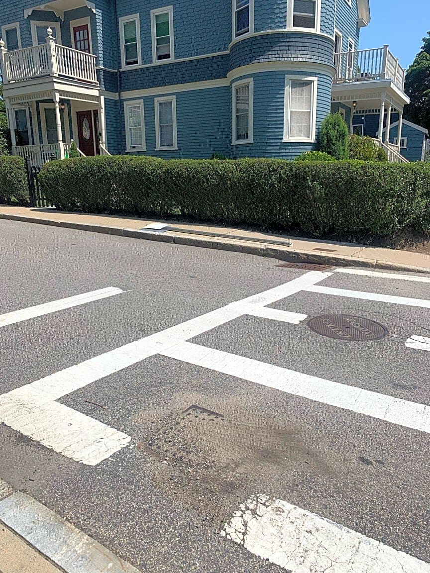 Image submitted with report