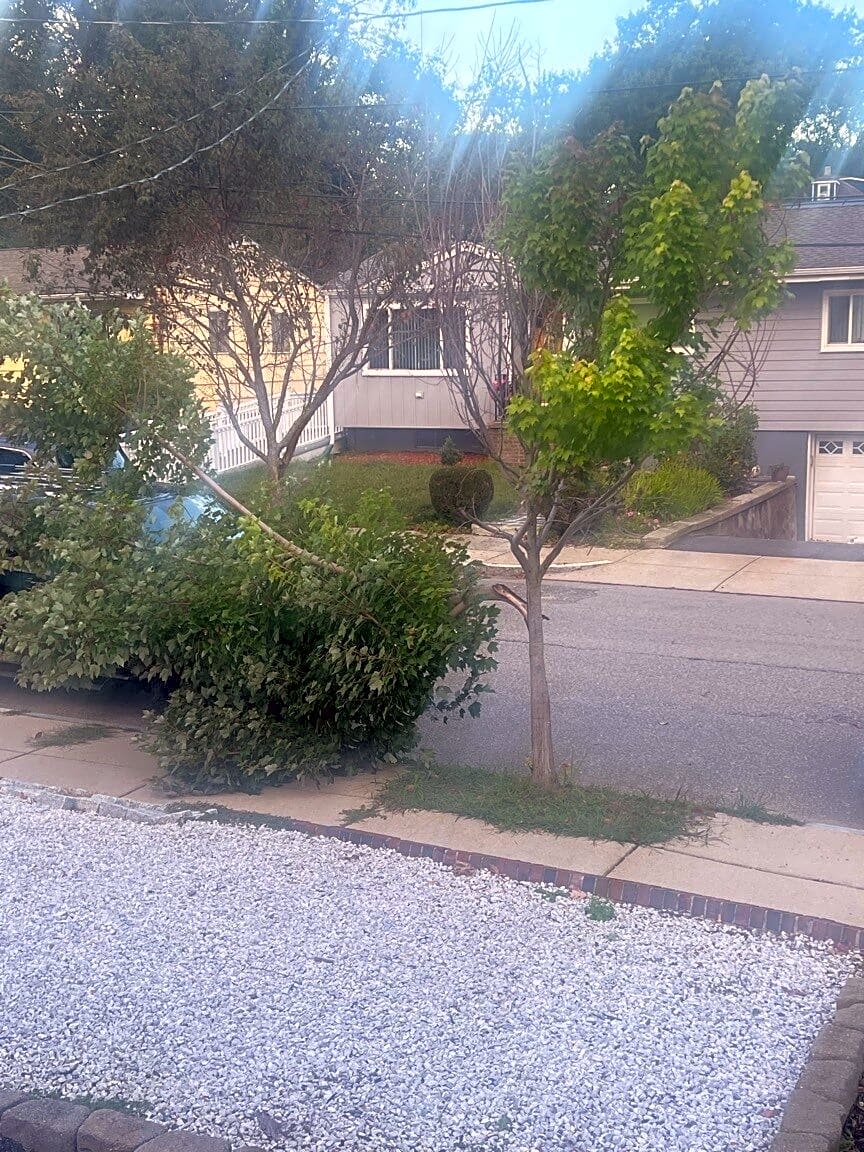 Image submitted with report