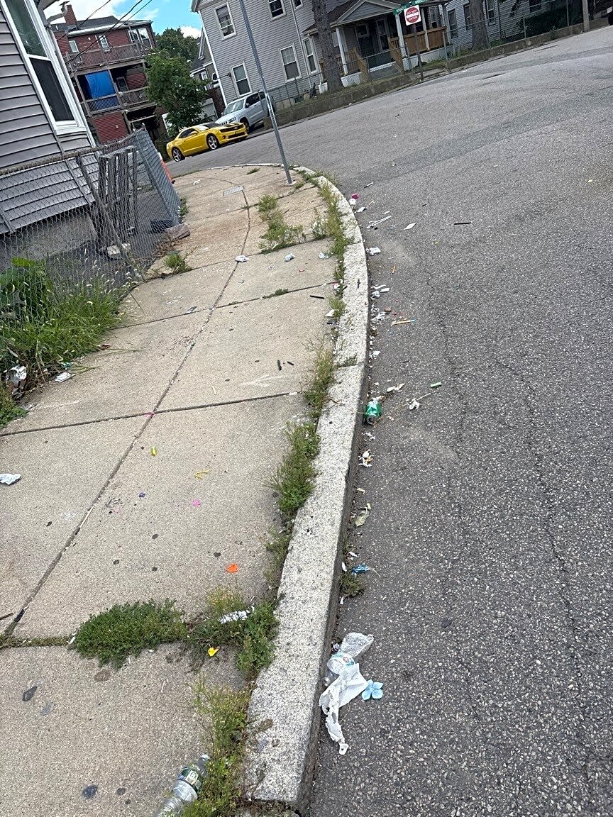 Image submitted with report