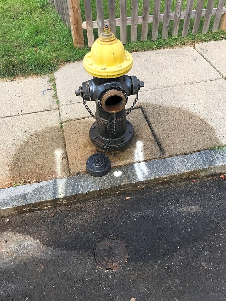 Image submitted with report