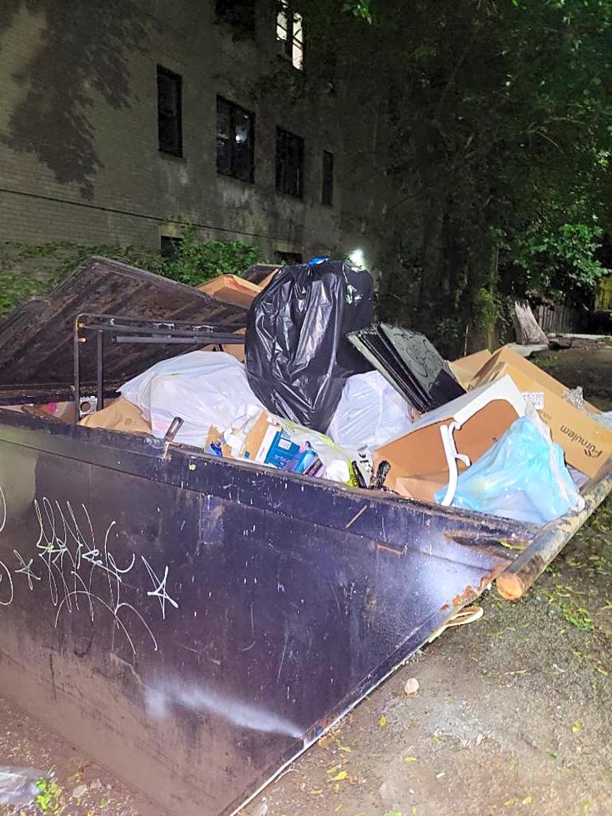 Image submitted with report