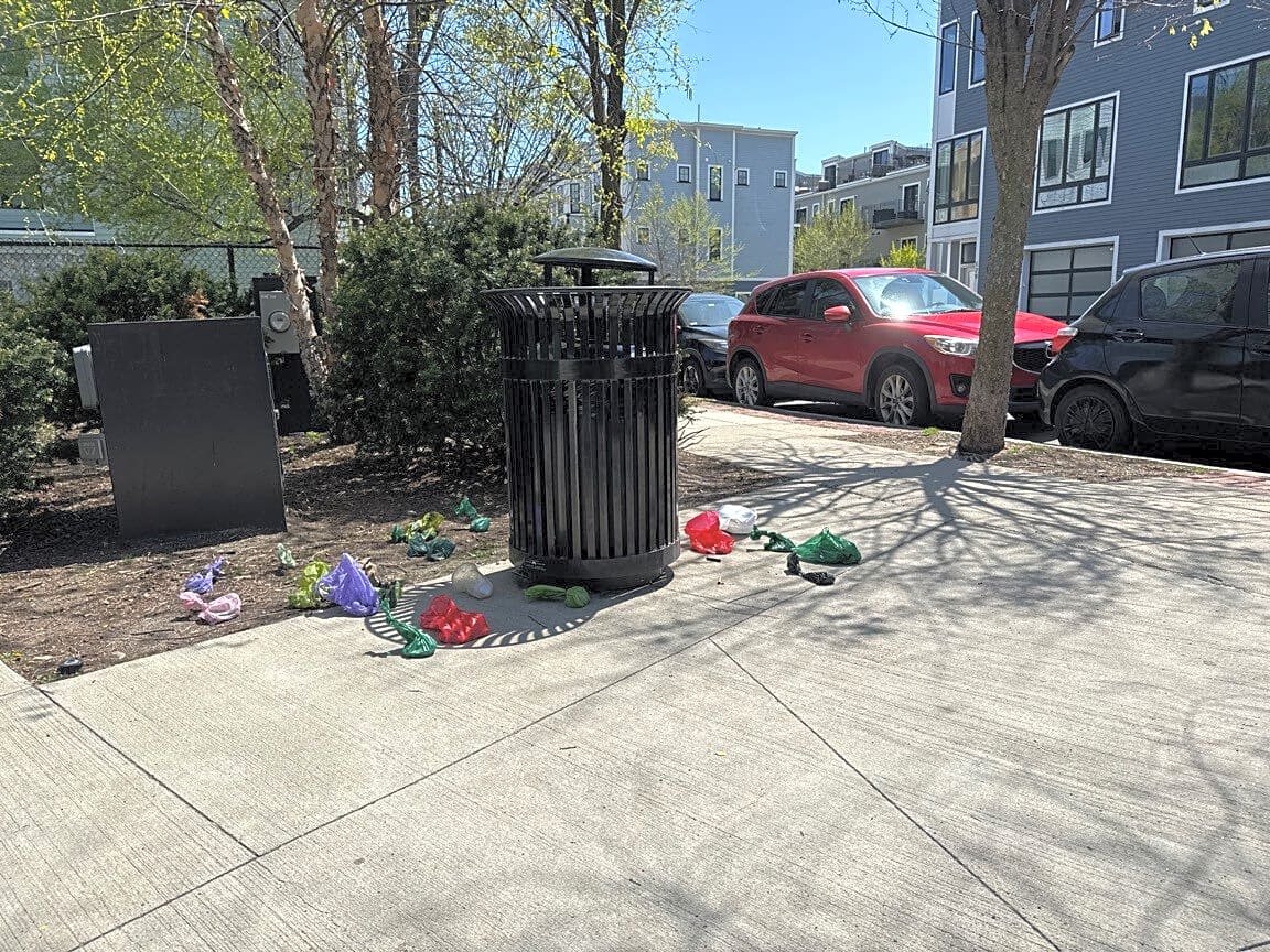 Image submitted with report