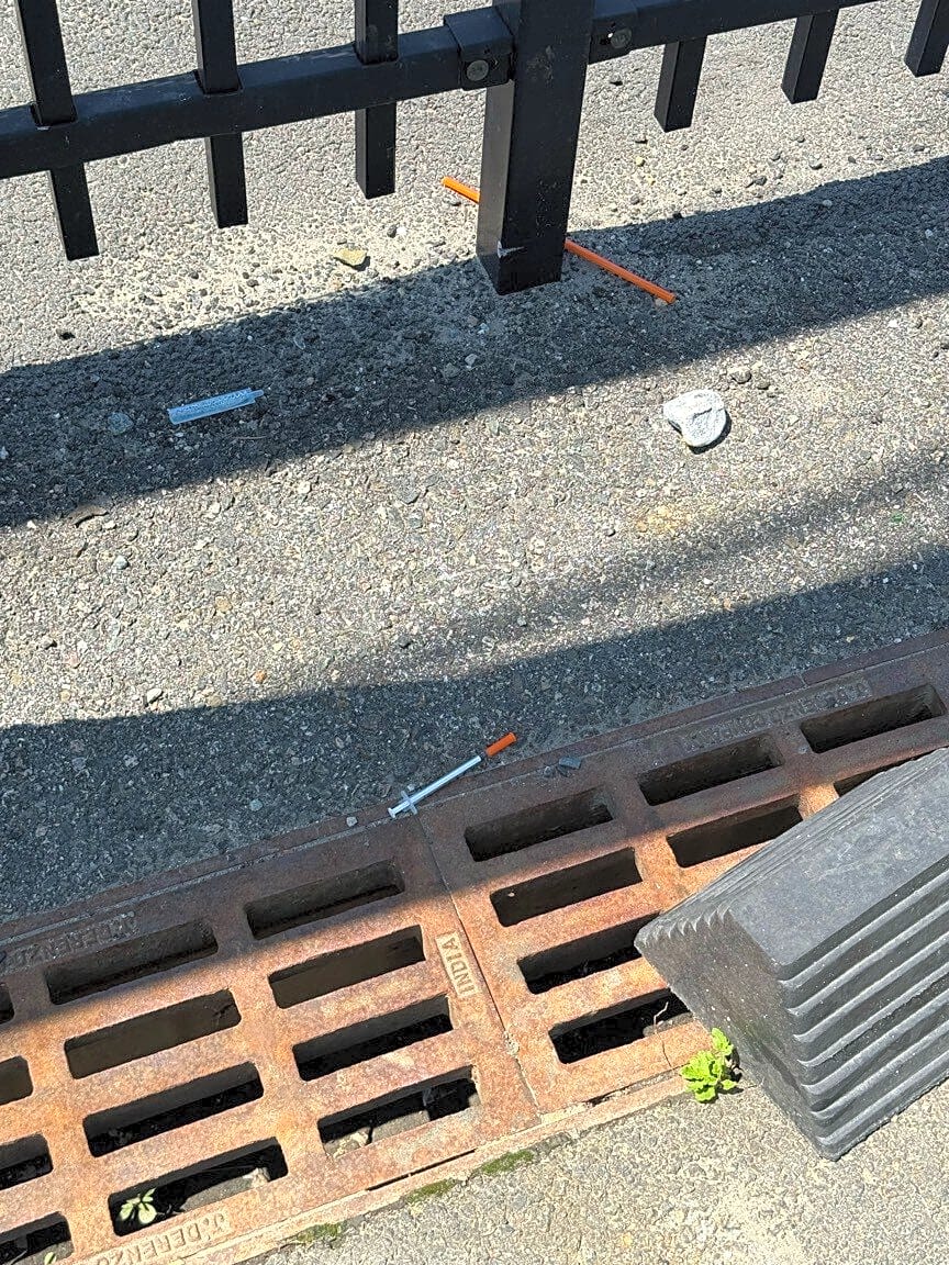 Image submitted with report