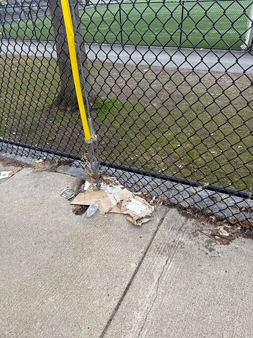 Image submitted with report