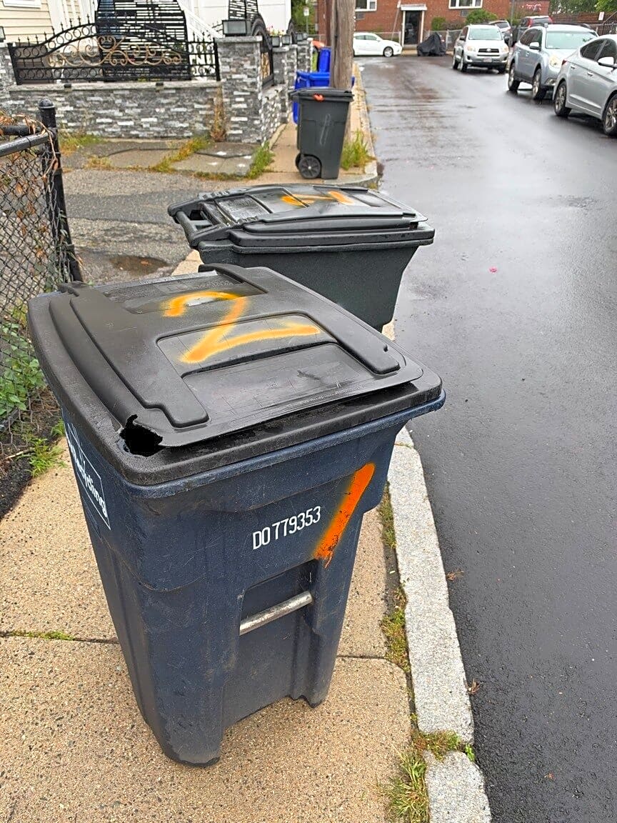 Image submitted with report