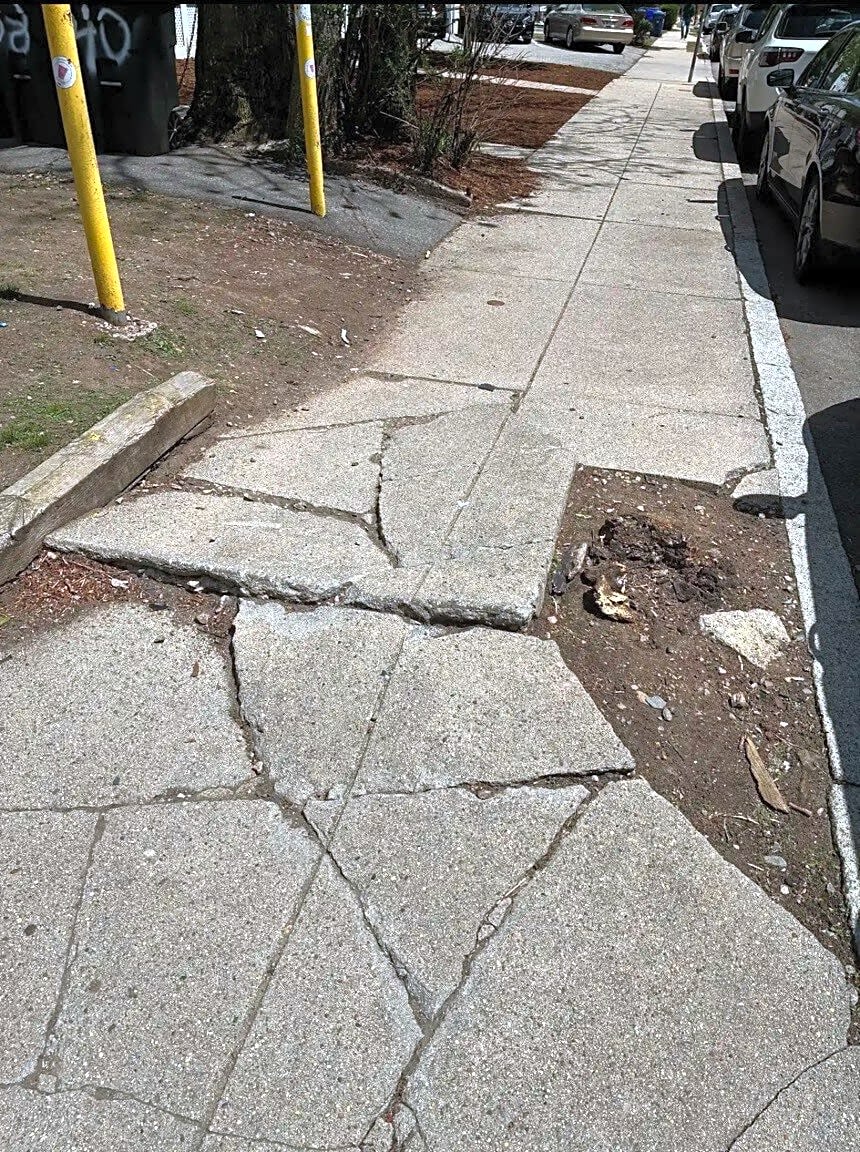Image submitted with report