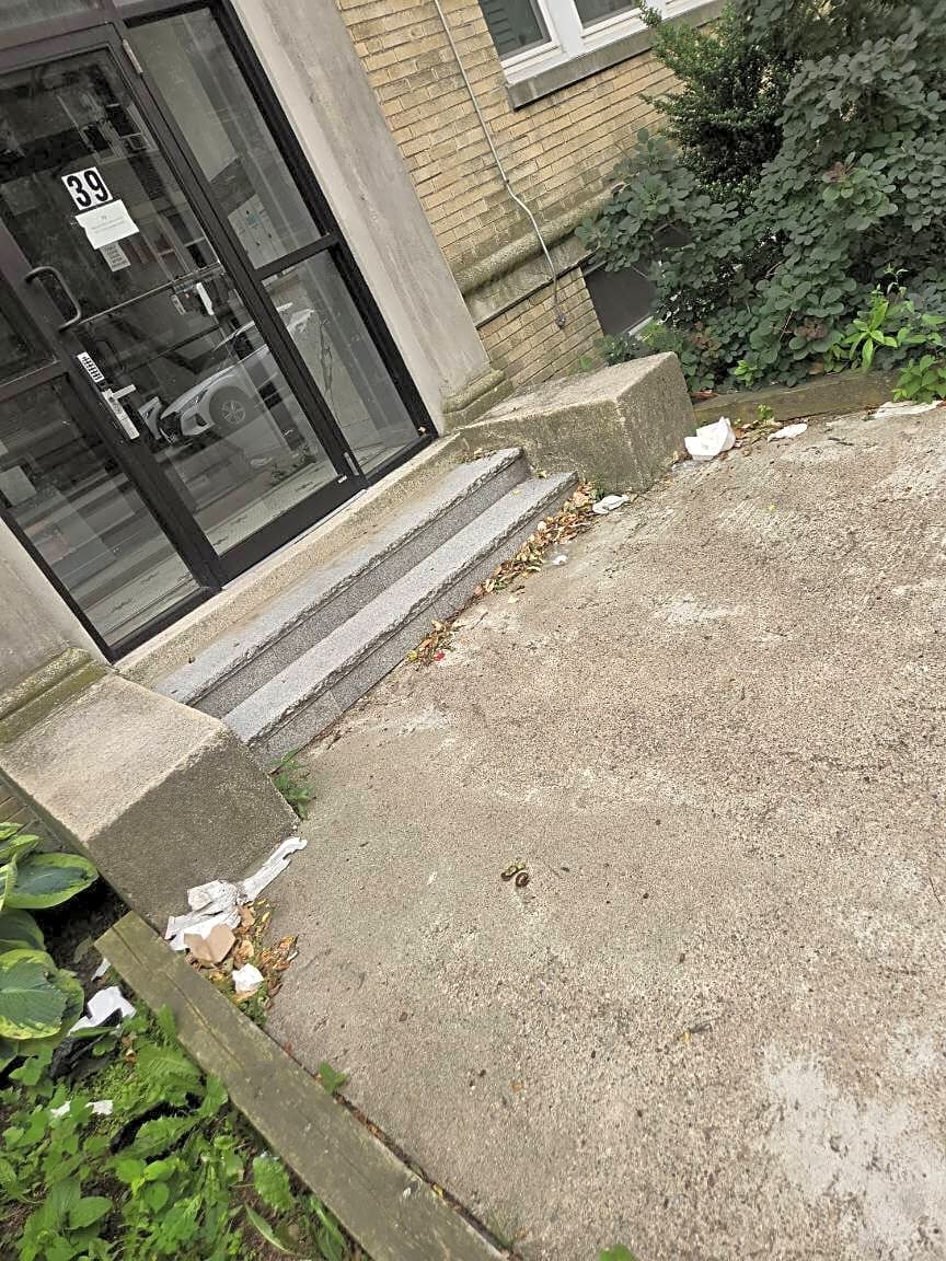 Image submitted with report