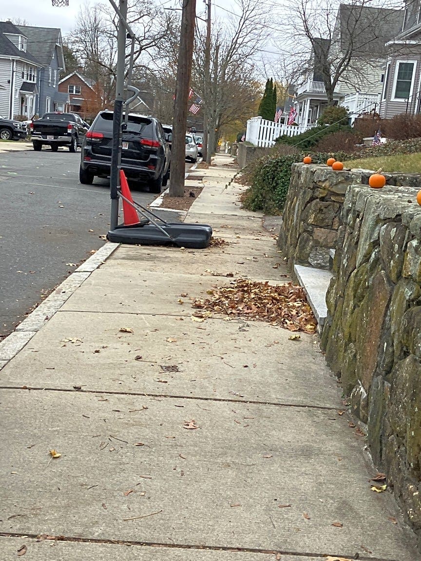 Image submitted with report