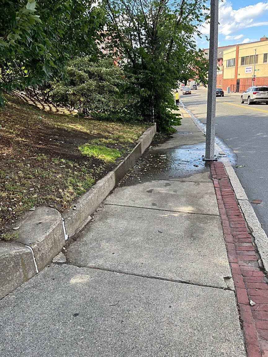 Image submitted with report