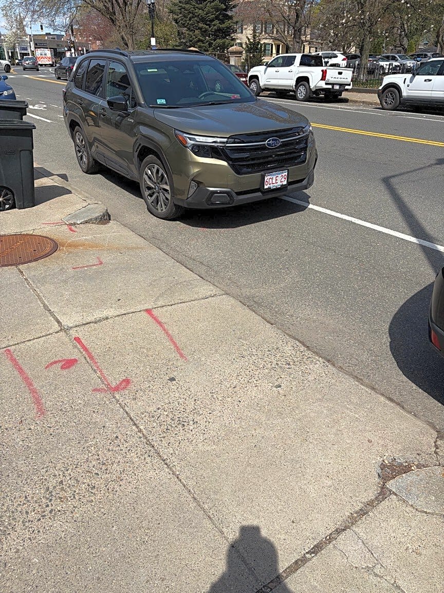 Image submitted with report