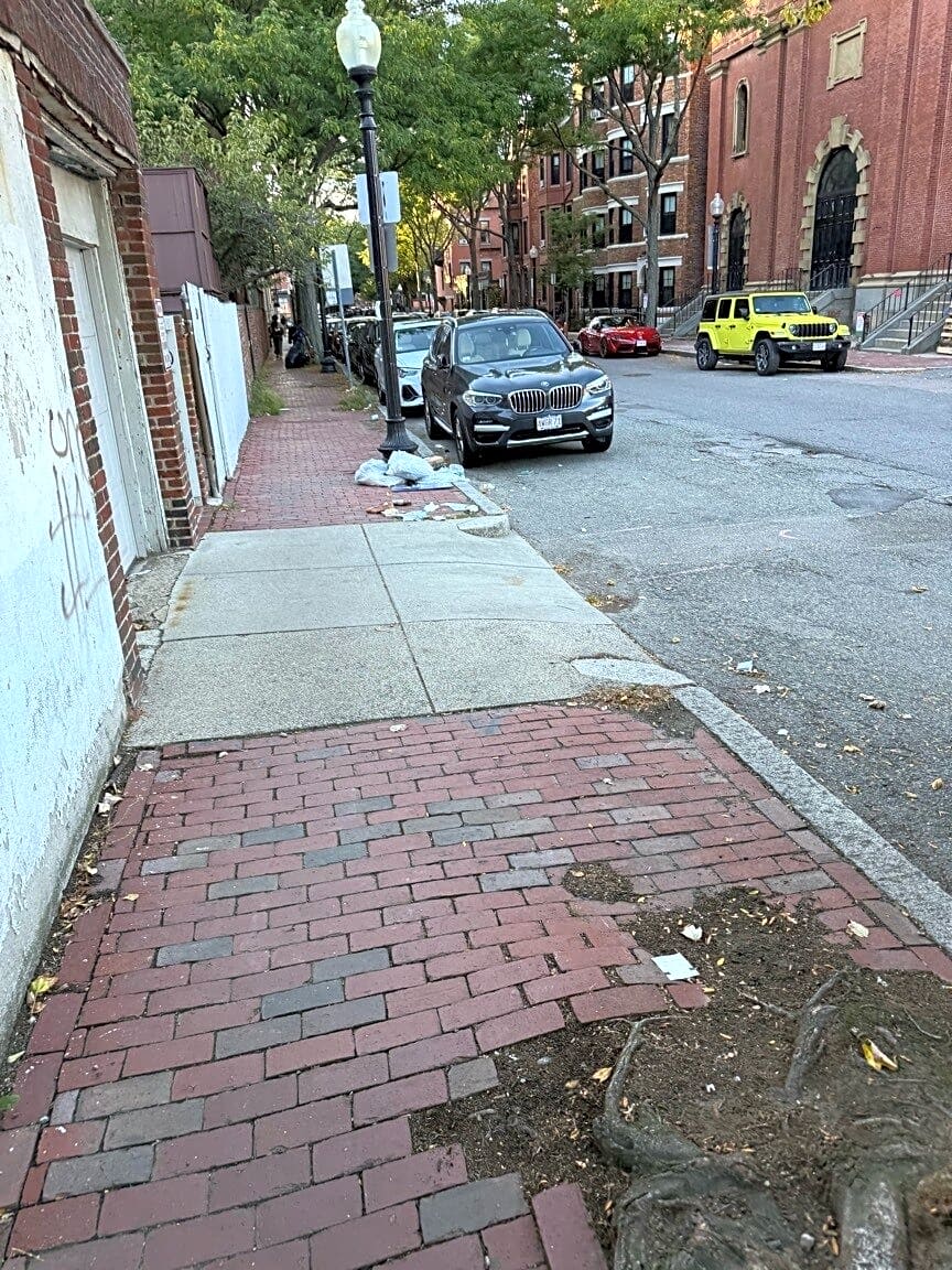 Image submitted with report