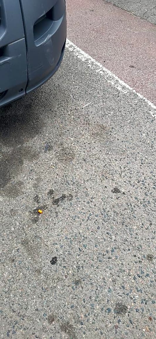 Image submitted with report