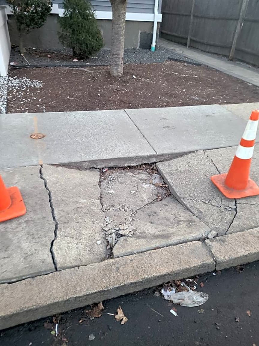 Image submitted with report