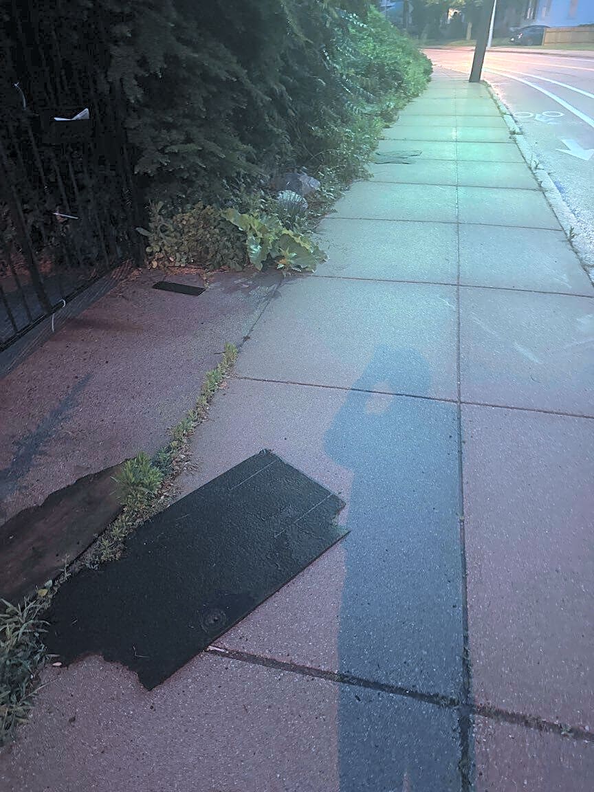 Image submitted with report