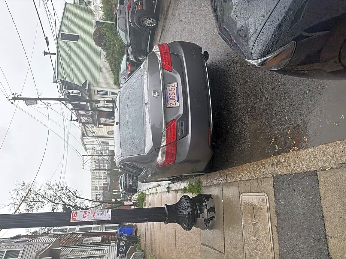 Image submitted with report