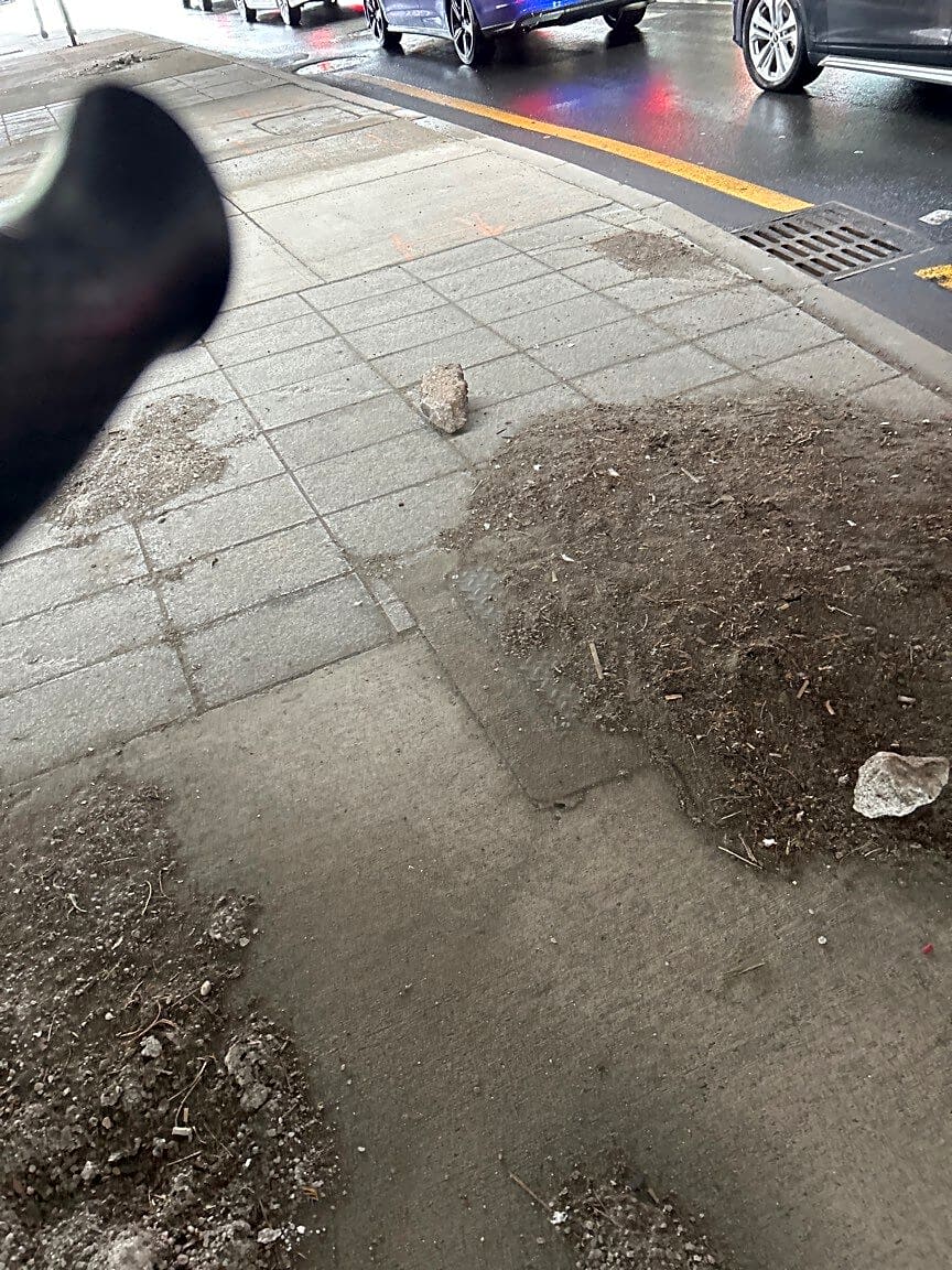 Image submitted with report