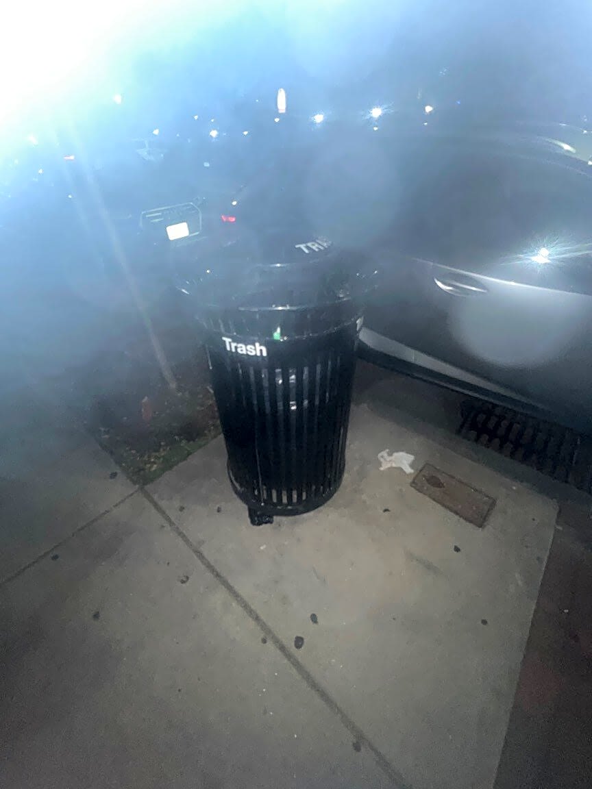 Image submitted with report