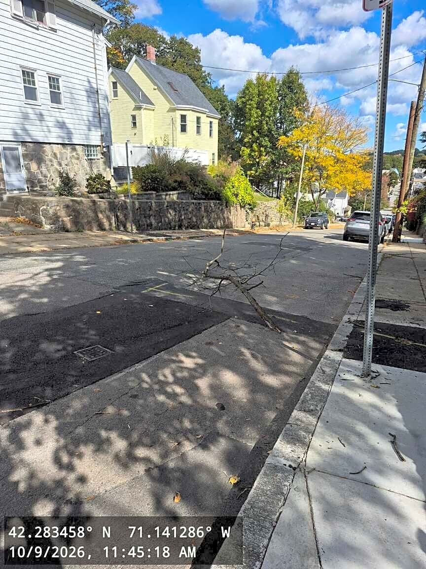 Image submitted with report