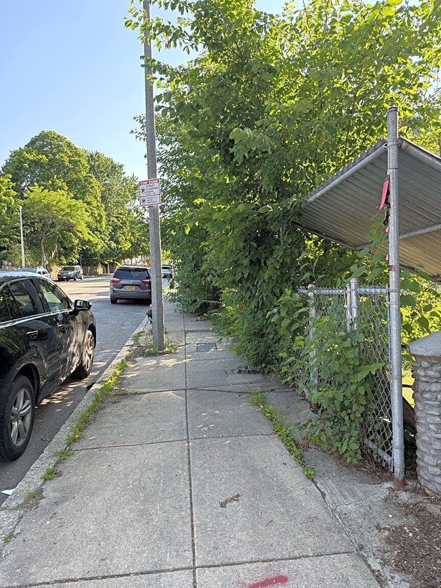 Image submitted with report