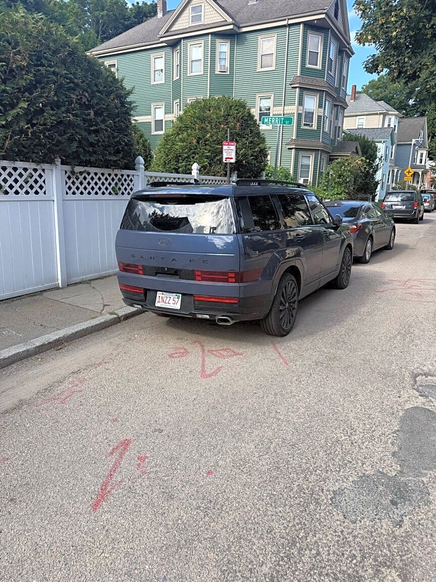 Image submitted with report