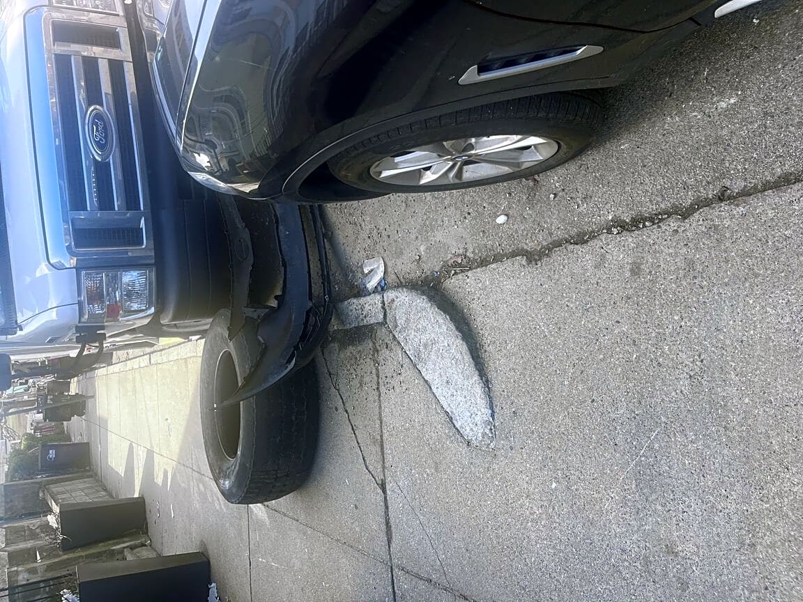 Image submitted with report