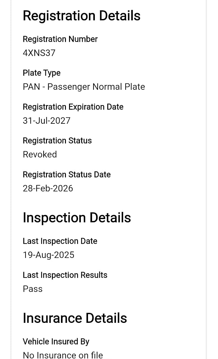 Image submitted with report
