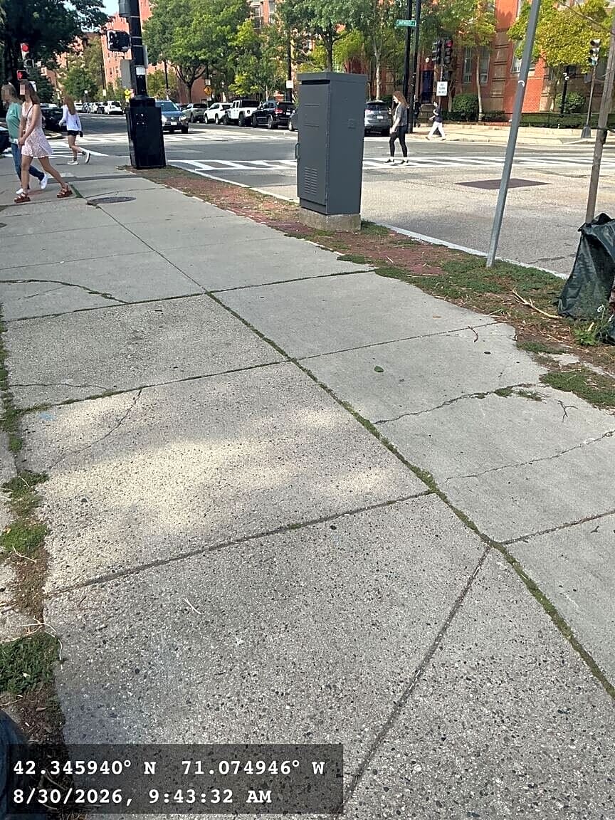 Image submitted with report