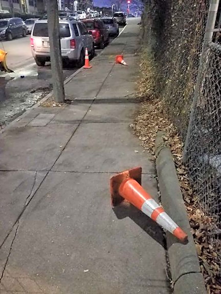 Image submitted with report