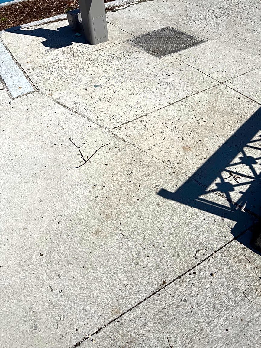 Image submitted with report