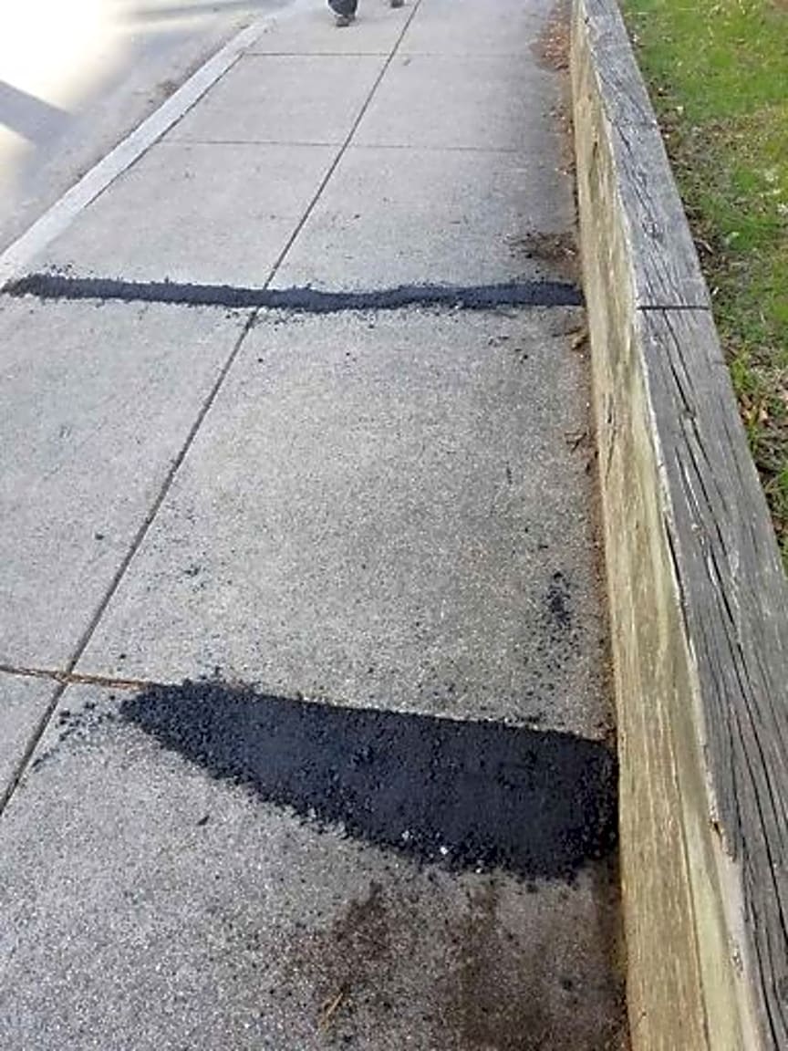 Image submitted with report