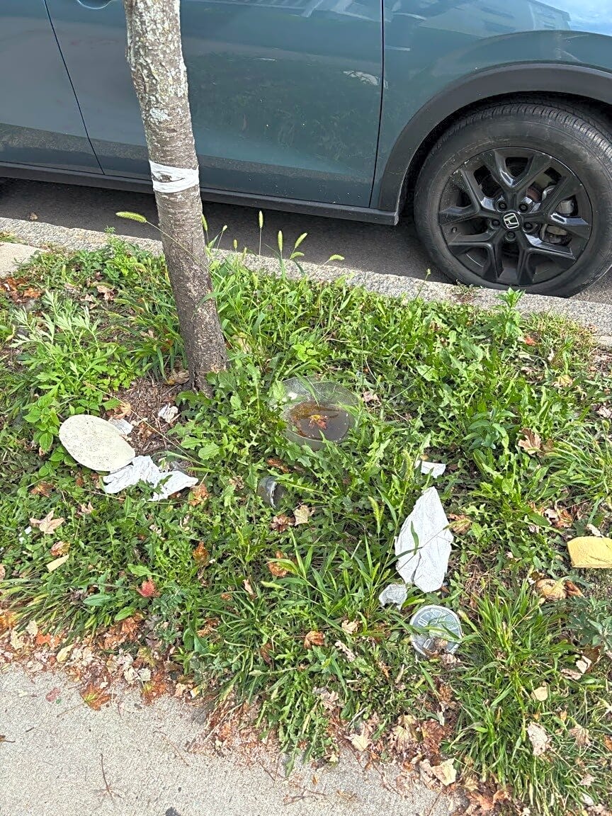Image submitted with report