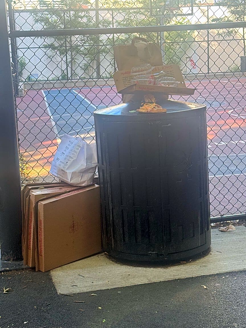 Image submitted with report