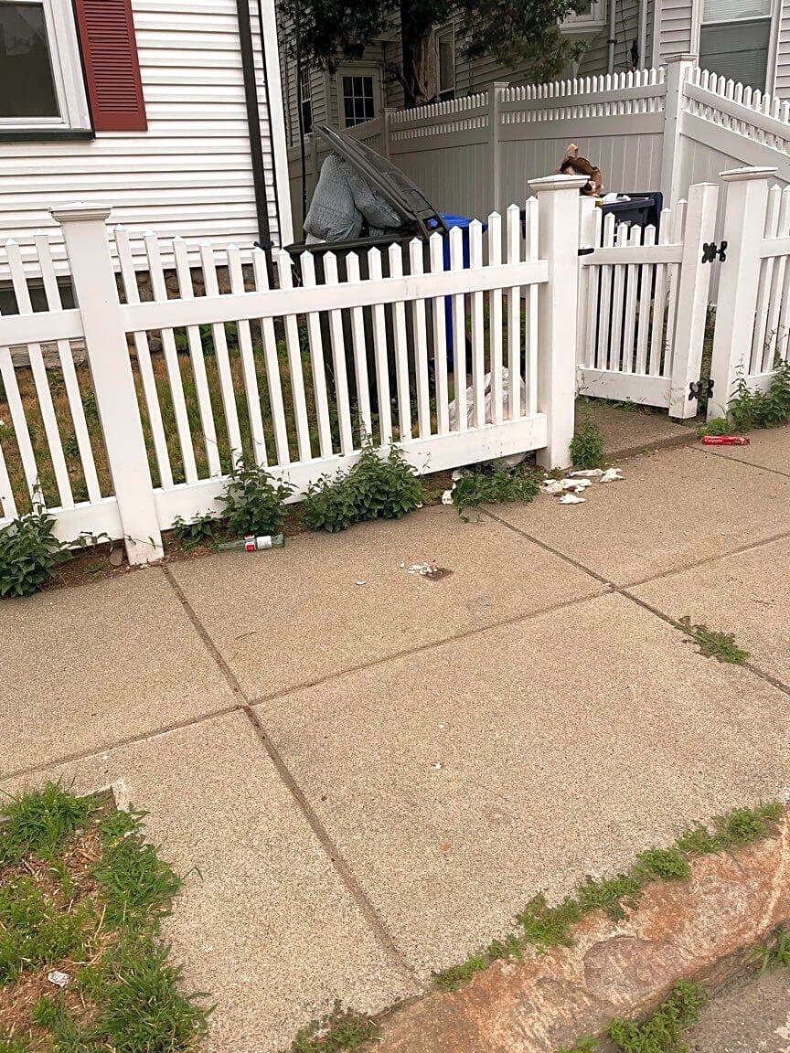 Image submitted with report