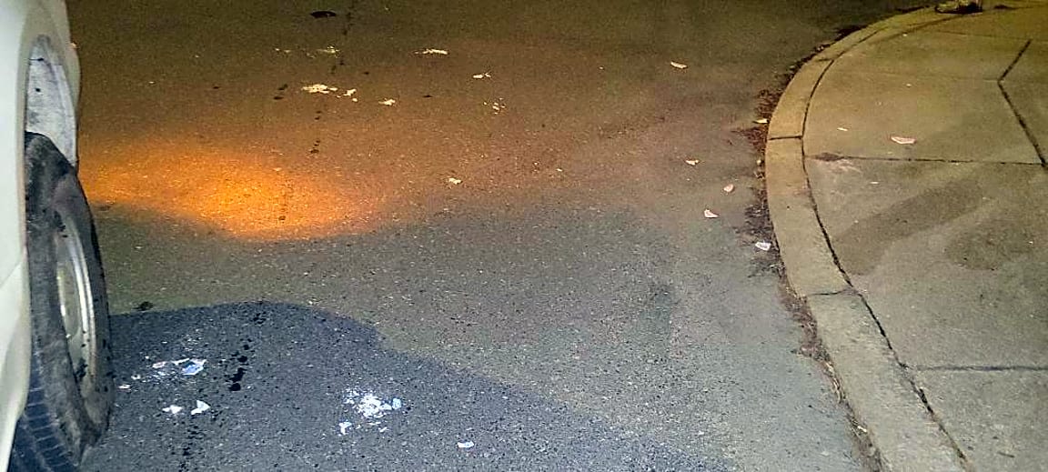 Image submitted with report