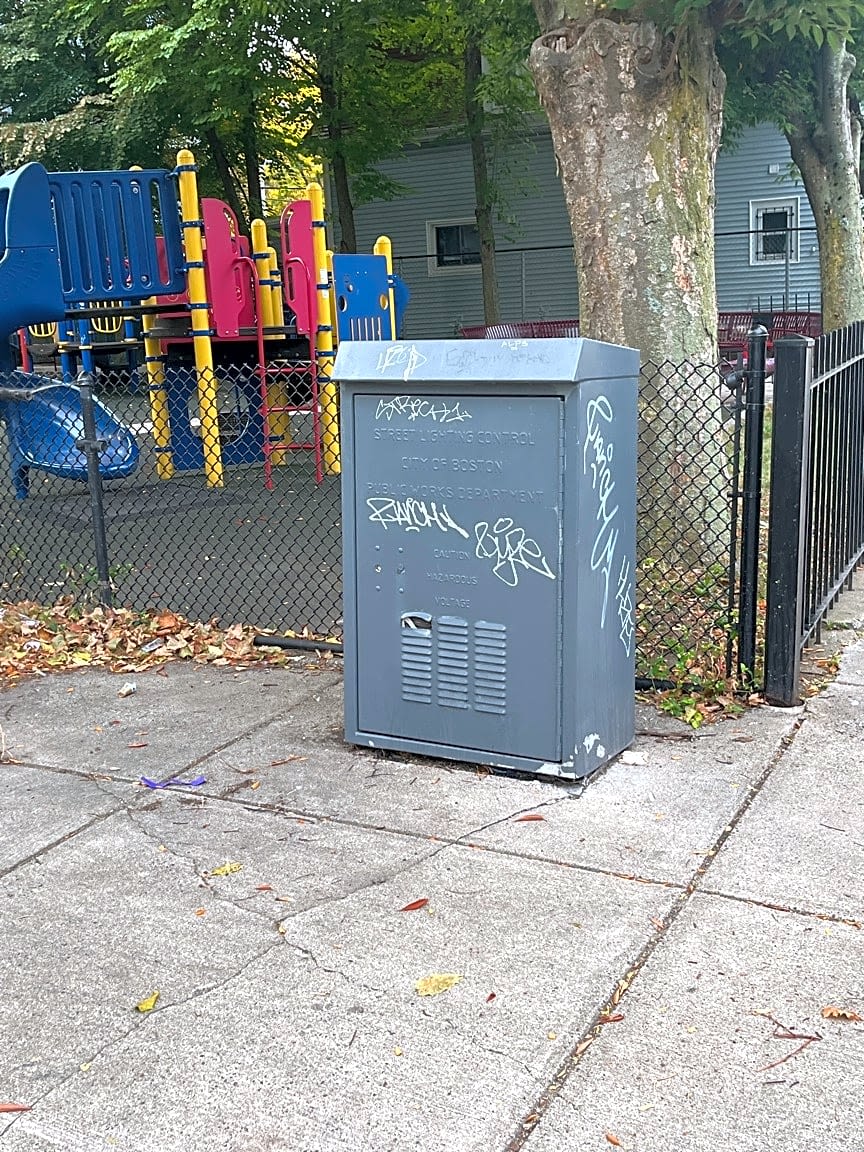 Image submitted with report