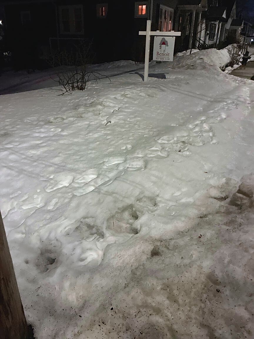 Image submitted with report