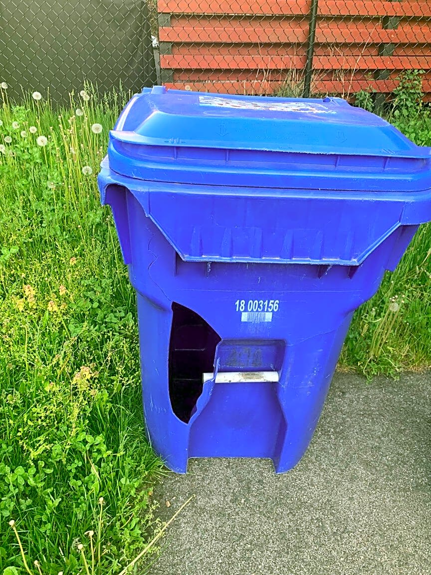 Image submitted with report