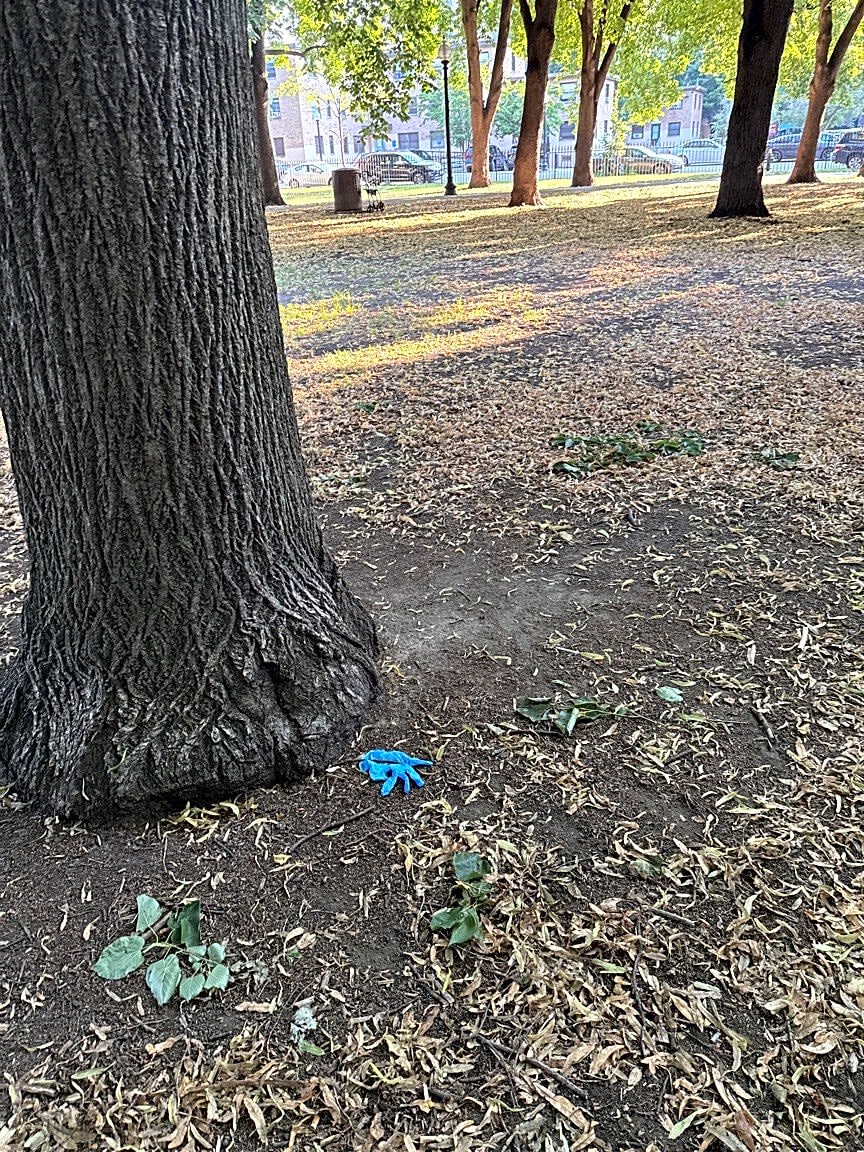 Image submitted with report