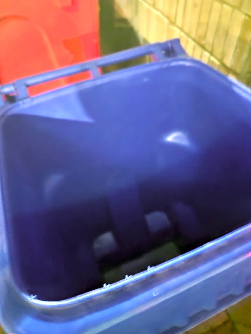 Image submitted with report