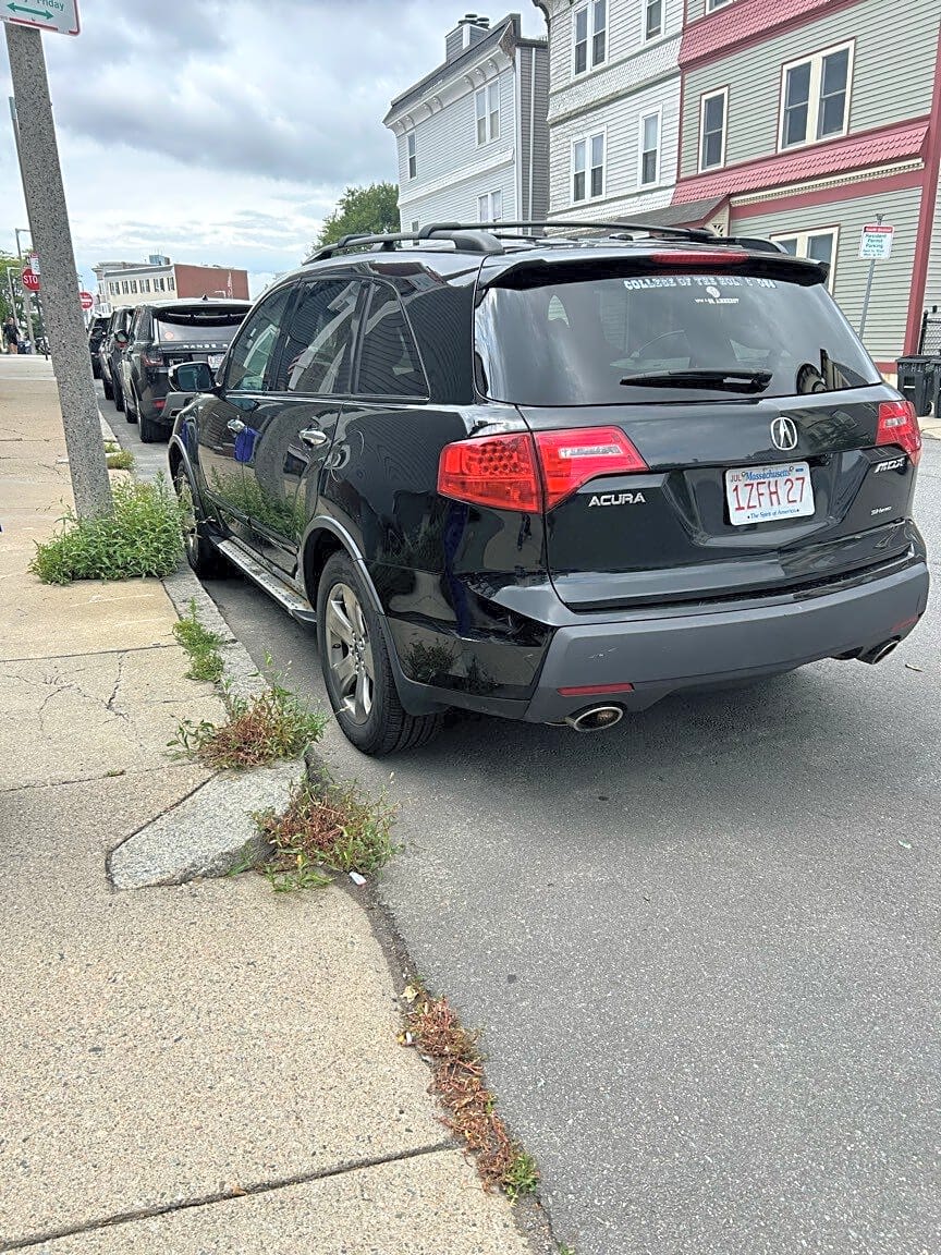 Image submitted with report