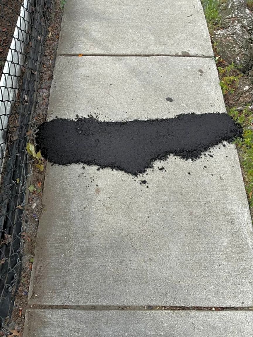 Image submitted with report