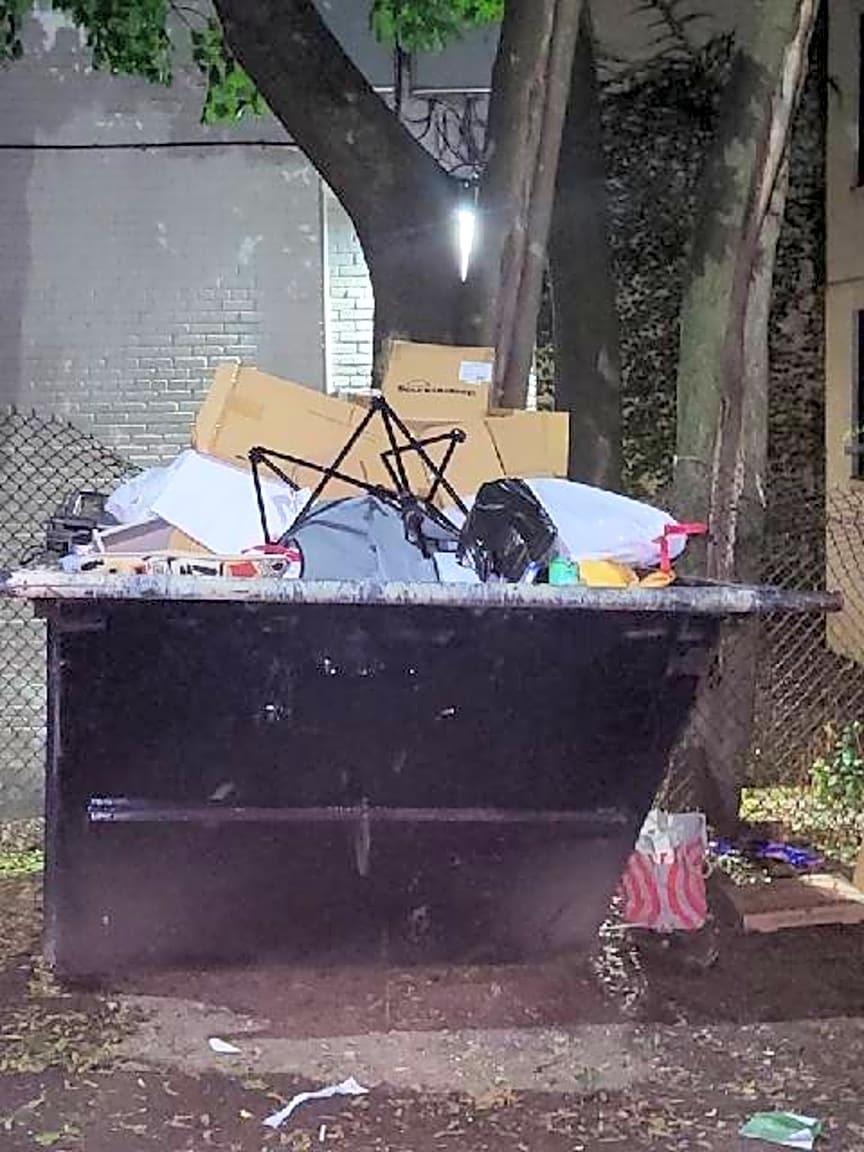 Image submitted with report