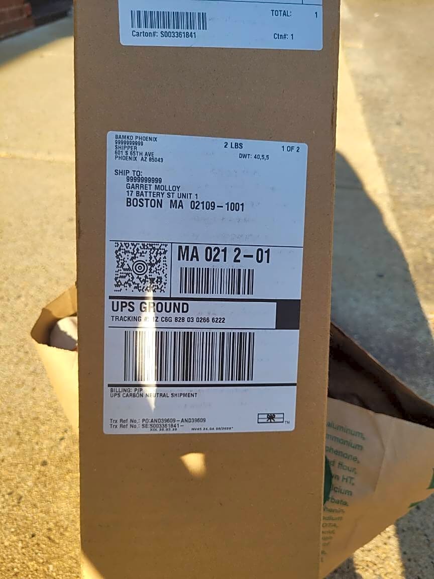 Image submitted with report