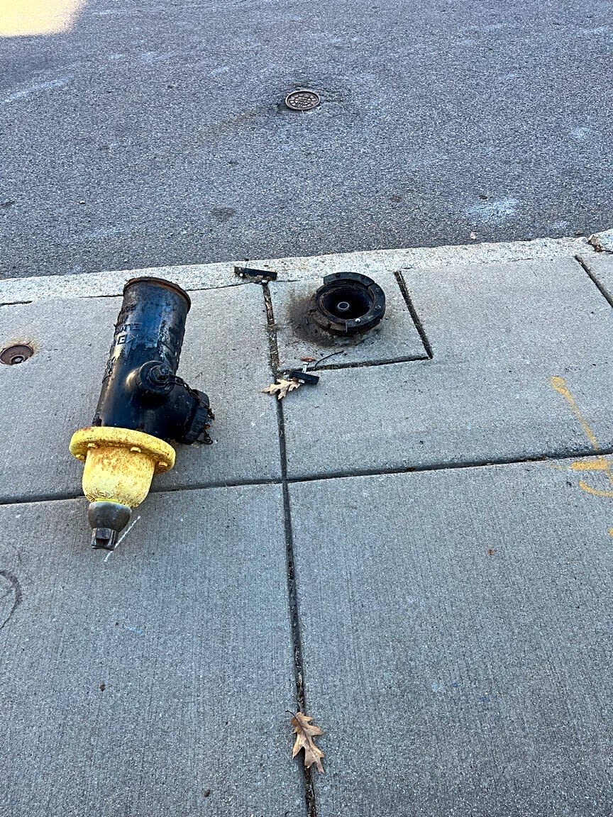 Image submitted with report