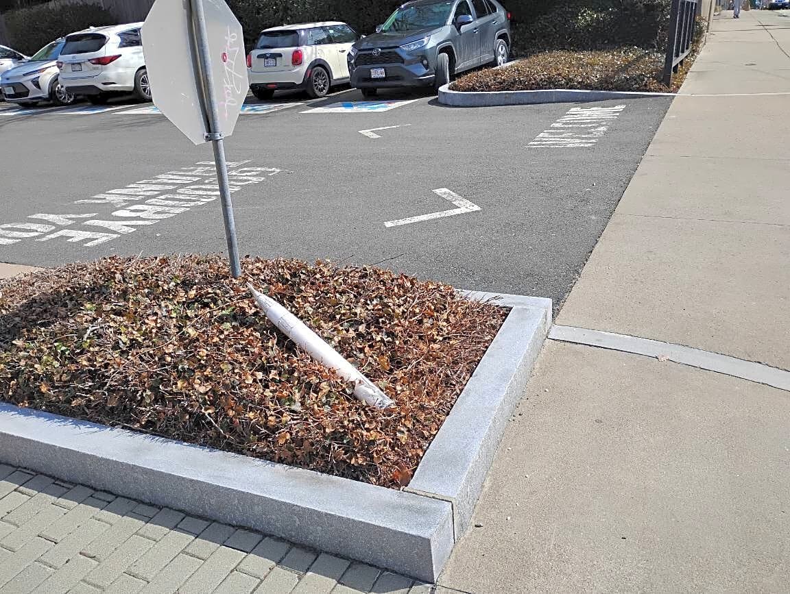 Image submitted with report