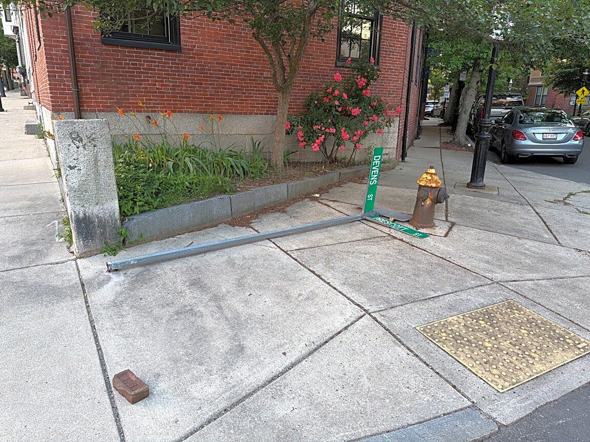 Image submitted with report
