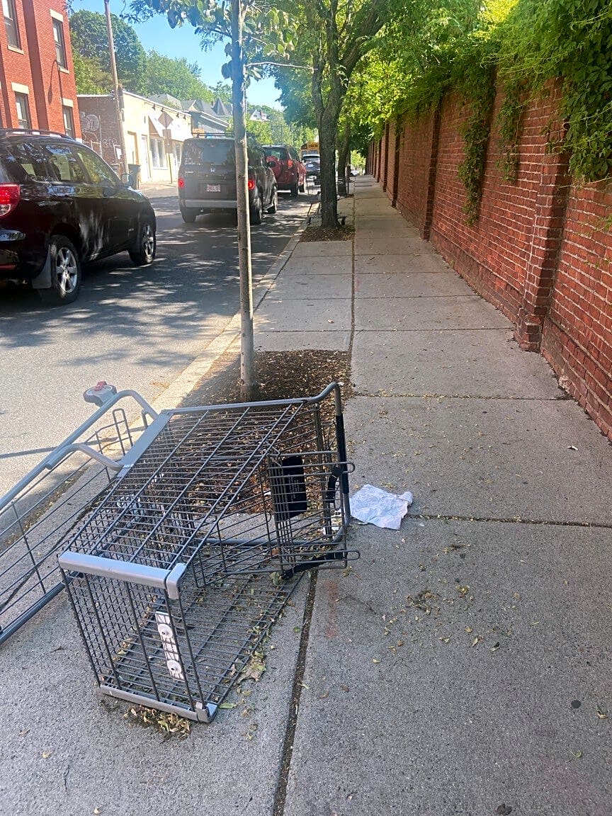 Image submitted with report