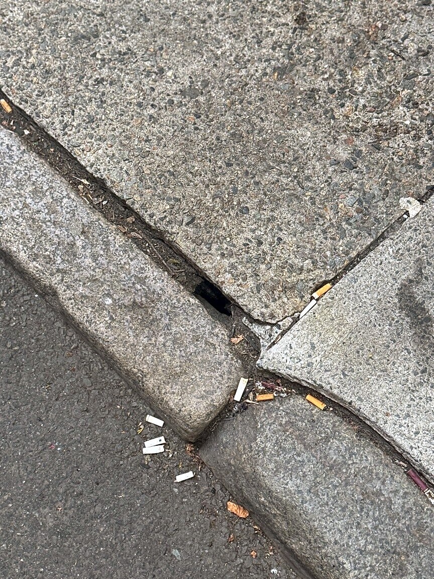 Image submitted with report